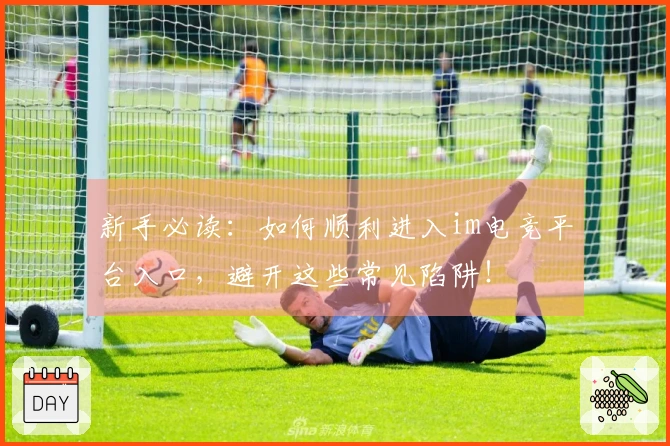 新手必读：如何顺利进入im电竞平台入口，避开这些常见陷阱！