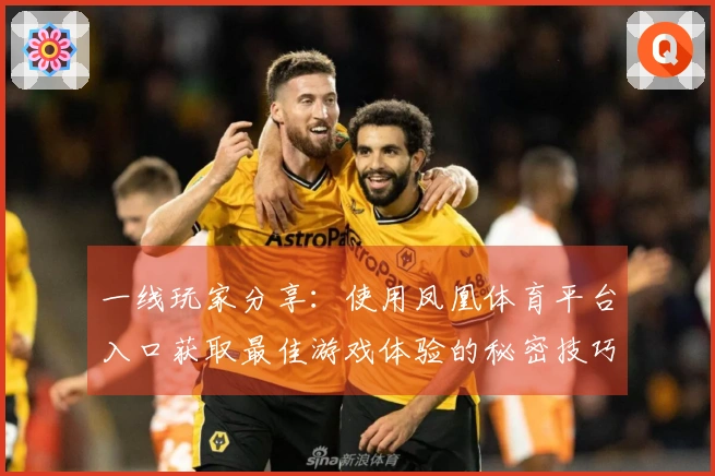 一线玩家分享：使用凤凰体育平台入口获取最佳游戏体验的秘密技巧